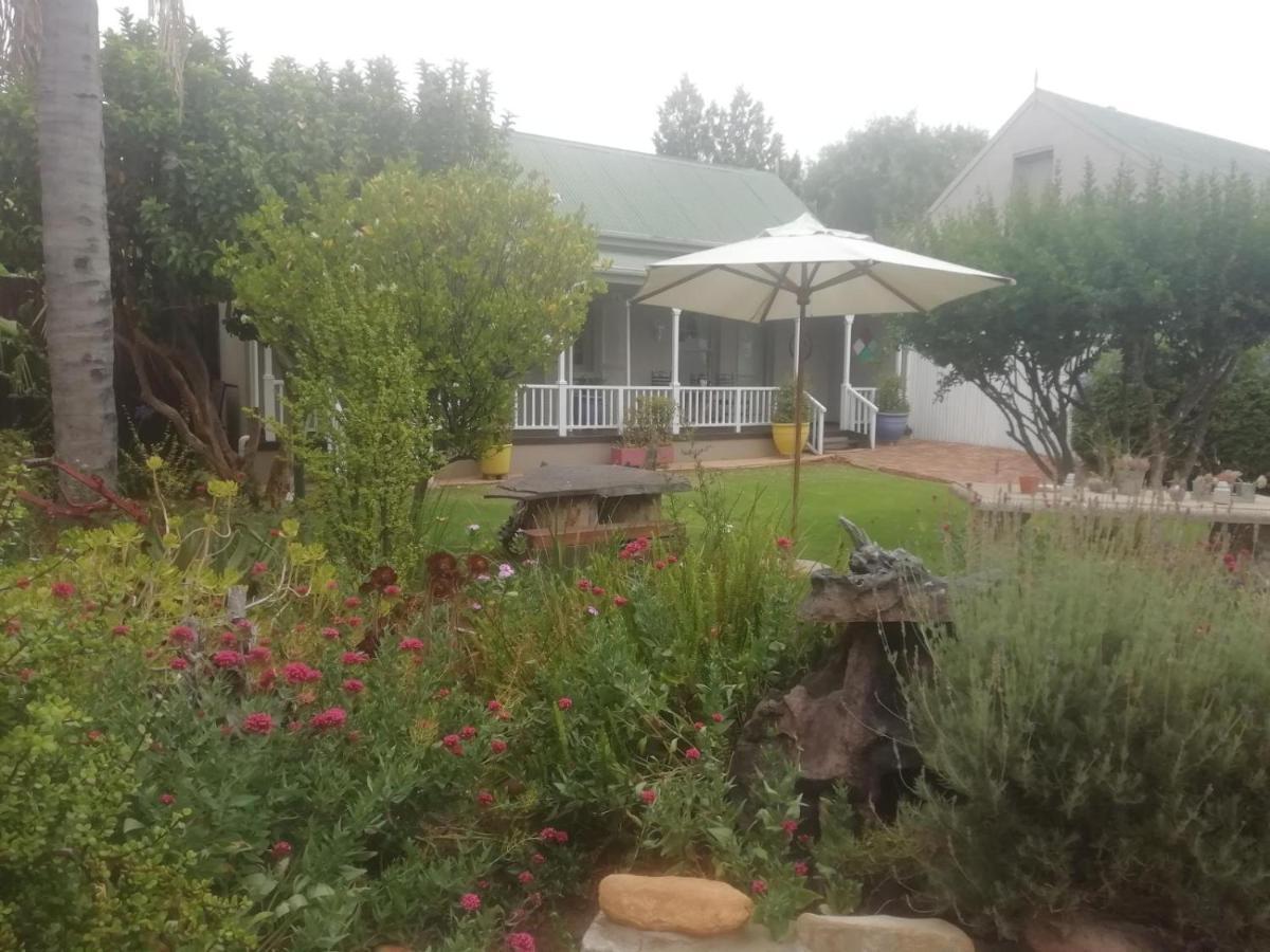 Housemartin Lodge & Self Catering De Rust 外观 照片