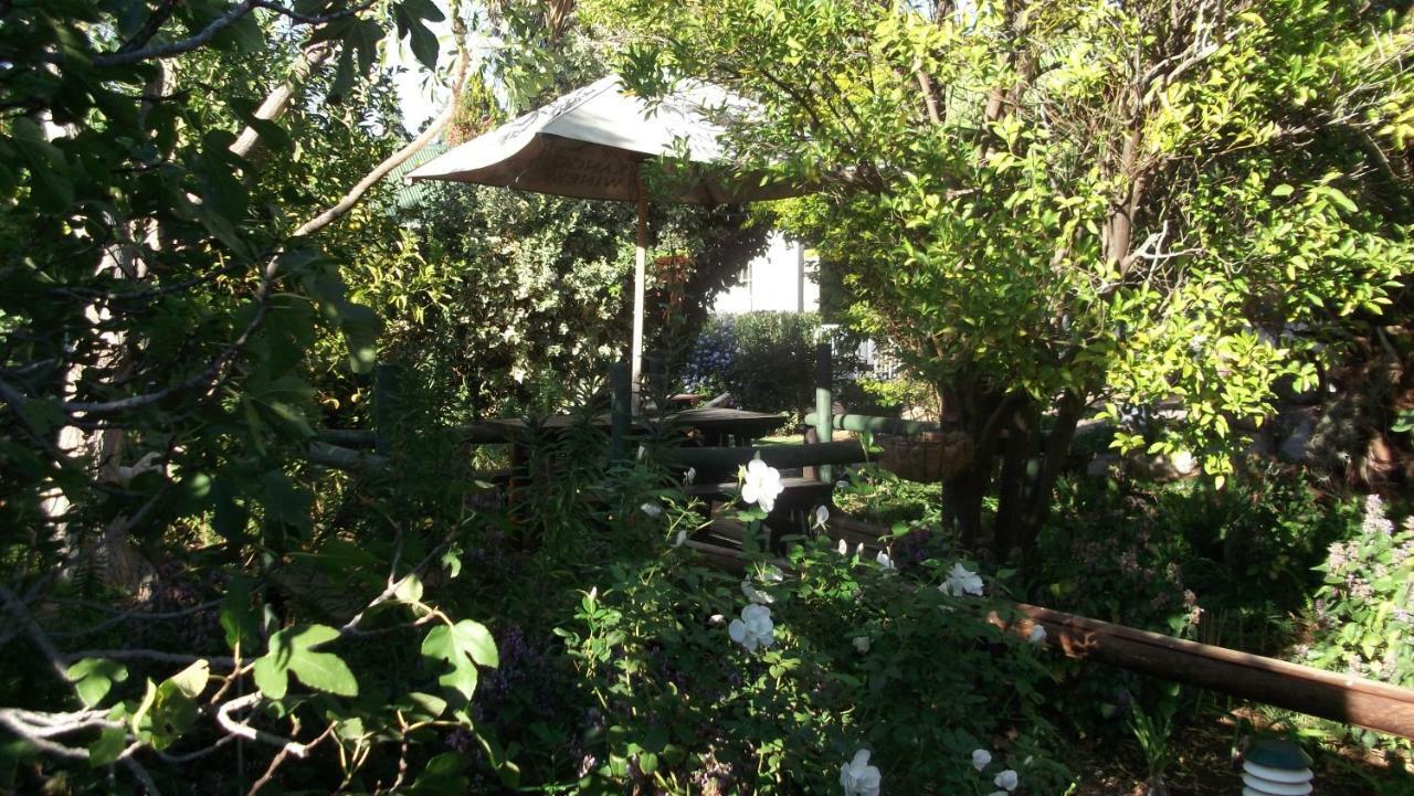 Housemartin Lodge & Self Catering De Rust 外观 照片