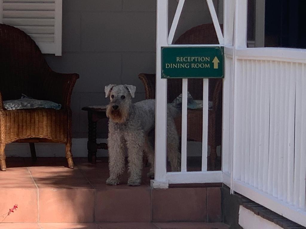 Housemartin Lodge & Self Catering De Rust 外观 照片